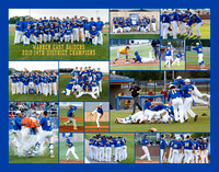 2017 14th District Warren East Championship Collage